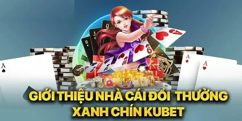 Về Chúng Tôi